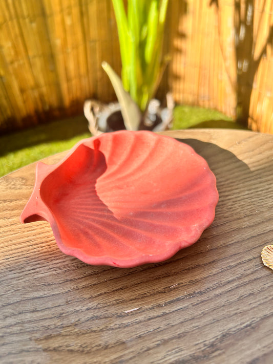 Vide Poche coquillage